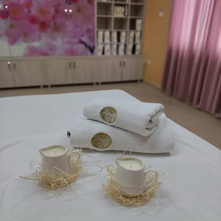 Smestaj & Protic فندق 4*