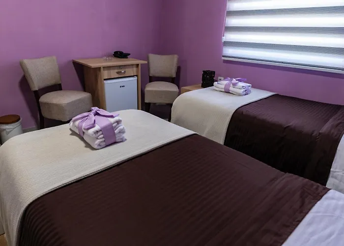 فندق Smestaj & Protic 4*