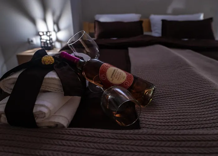 Smestaj & Protic فندق 4*